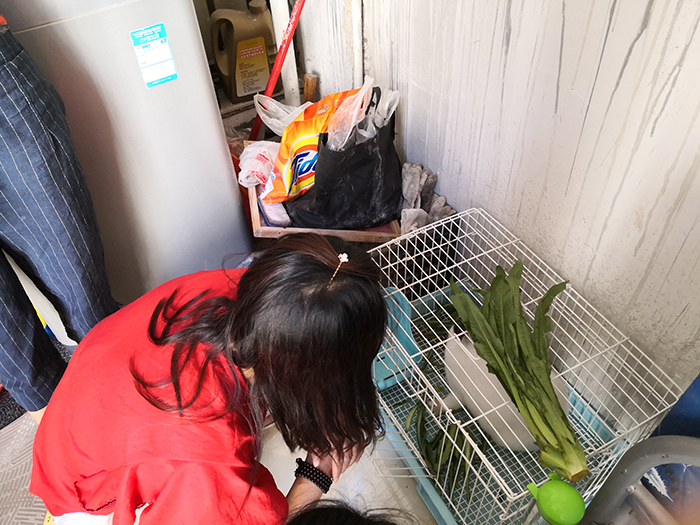 2019年7月25日 相约小莉家 美食（美女）的诱惑